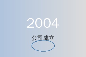 2004 年公司成立