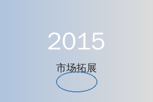 2015 年市场拓展