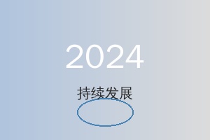 2024 年持续发展